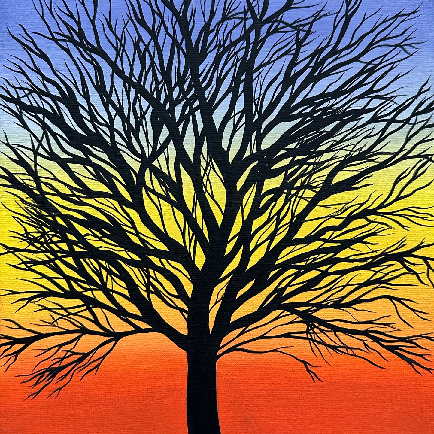 tree silhouette at sunset